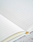 UAE Notebook