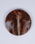 Precarious Beings - Exhibition Plate (Set of 4)