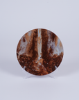 Precarious Beings - Exhibition Plate (Set of 4)
