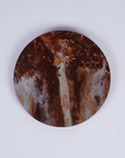 Precarious Beings - Exhibition Plate (Set of 4)