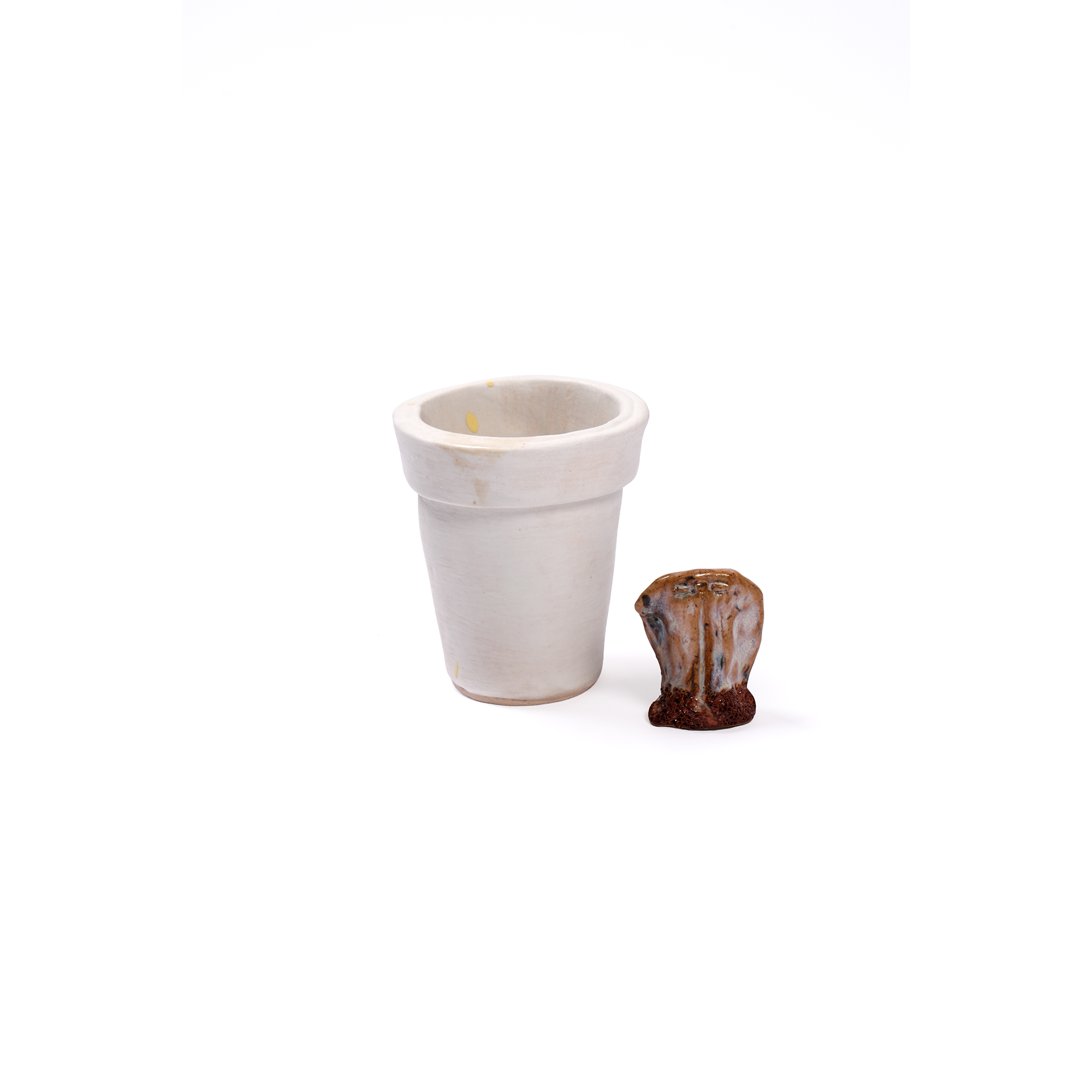 Styrofoam Cup and Tea Bag