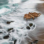 Relaxing Time by Ahmed Al Toqi, photograph taken at Al Hootah Beach, Oman, 120 x 83 cm, Tashkeel