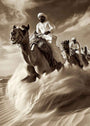 Camel Race Waves 2 by Artist Group Illal, digital print on Hahnemuhle paper, 70 x 50 cm, Tashkeel