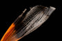 The Wing by Khalid Al Astad, digital print on Hahnemühle photo rag paper, 50 x 75 cm, Tashkeel