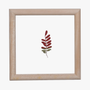 What the Tree Left Behind #1 by Moza Al Falasi, acrylic on Ghaf tree leaf, 20 x 20 cm, from Unfolding at Tashkeel