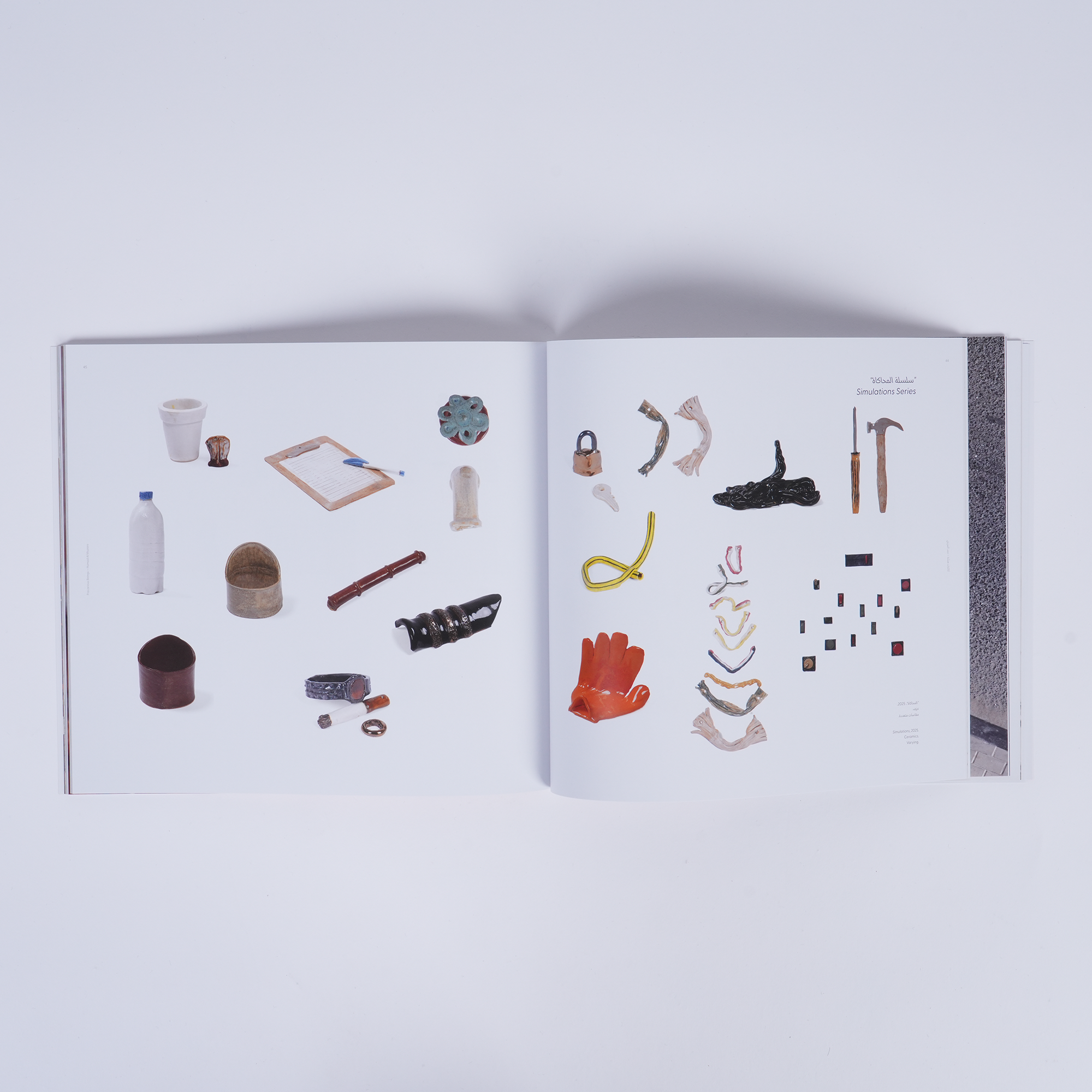 Precarious Beings - Exhibition Catalogue Tashkeel