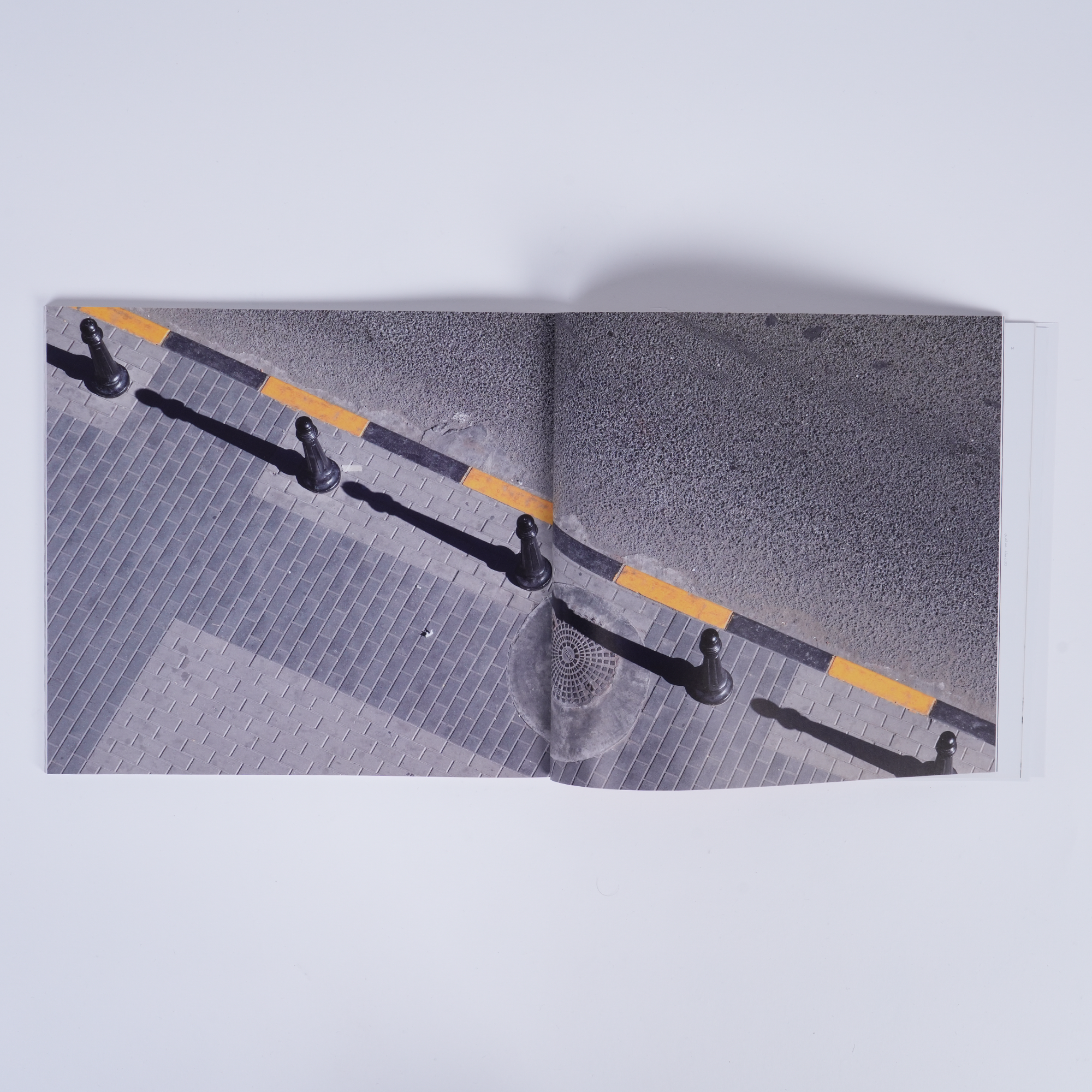 Precarious Beings - Exhibition Catalogue Tashkeel