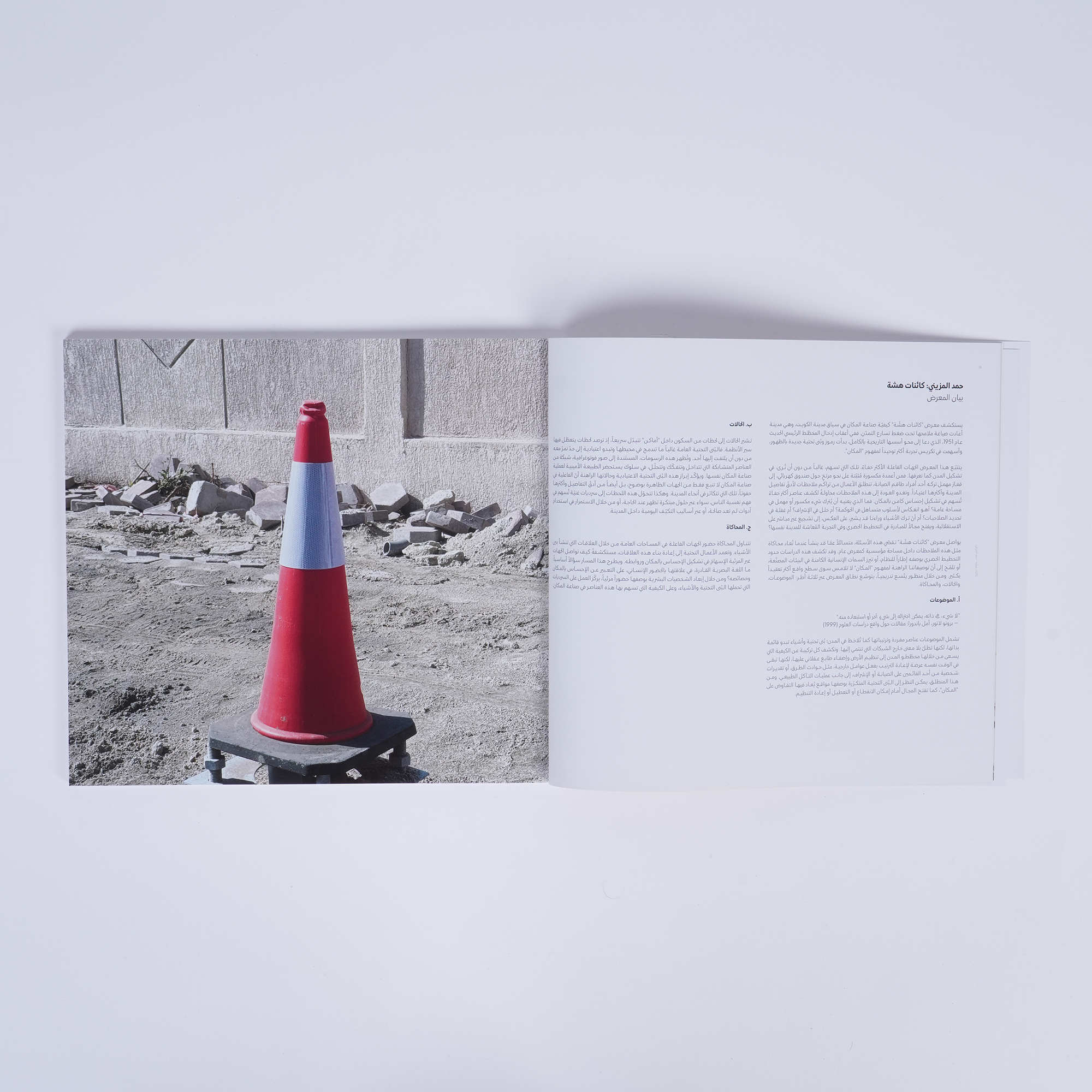 Precarious Beings - Exhibition Catalogue Tashkeel