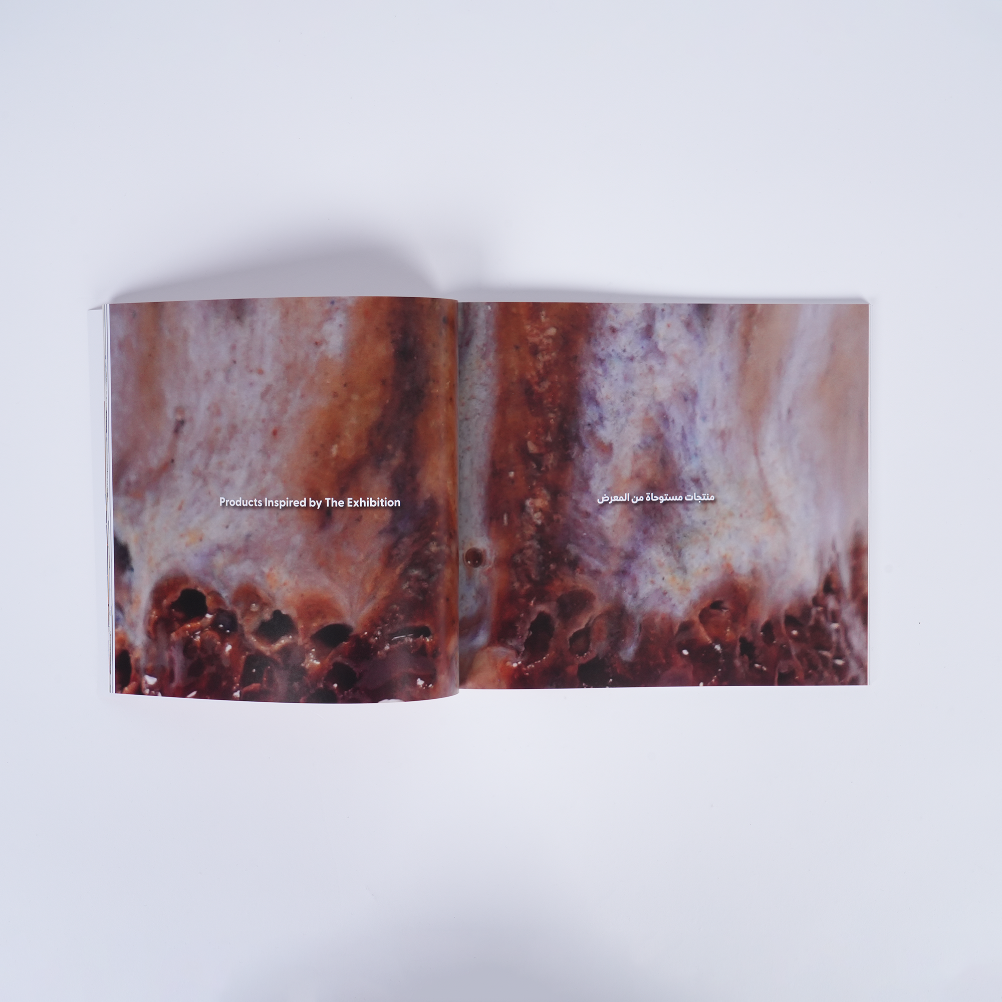 Precarious Beings - Exhibition Catalogue Tashkeel