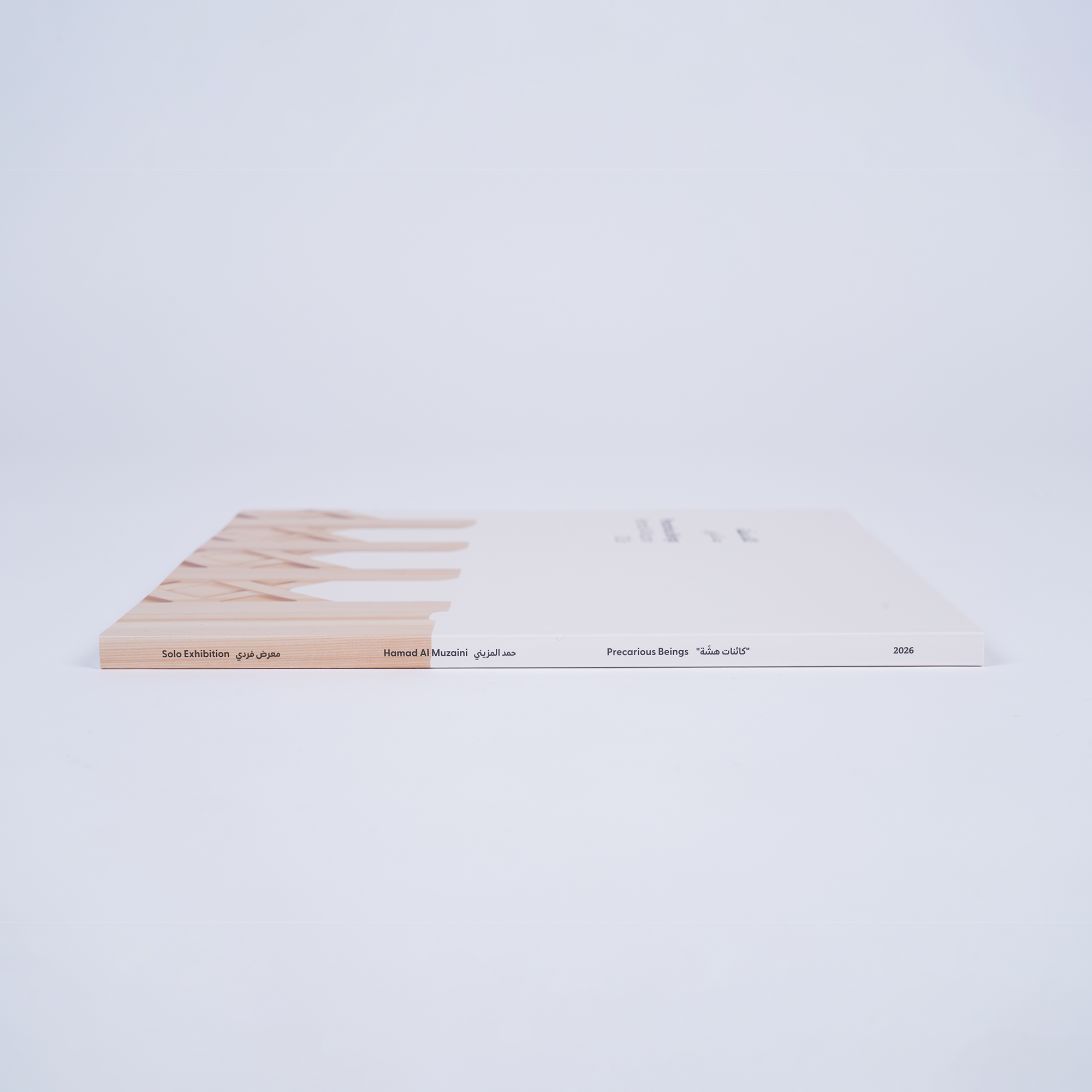 Precarious Beings - Exhibition Catalogue Tashkeel