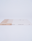 Precarious Beings - Exhibition Catalogue Tashkeel
