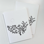 Doves on Desert Rose Sketchbook