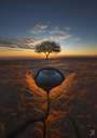 Mother Earth 1 by Artist Group Illal, digital print, 50 x 70 cm, Tashkeel